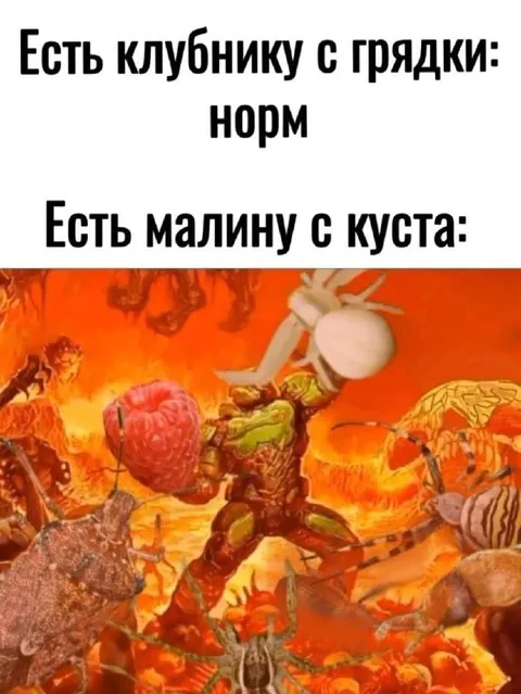 Малина с куста — это ад