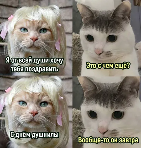 Поздравление с днём душнилы