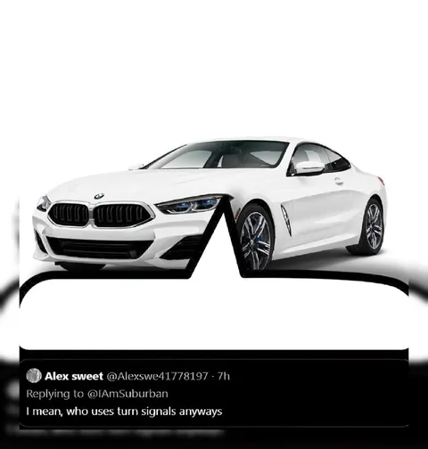 Who Uses Turn Signals Anyway