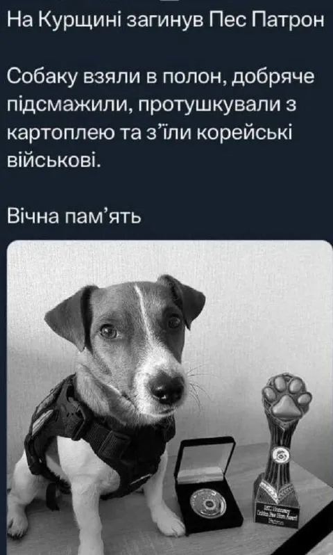Пес Патрон на Курщині