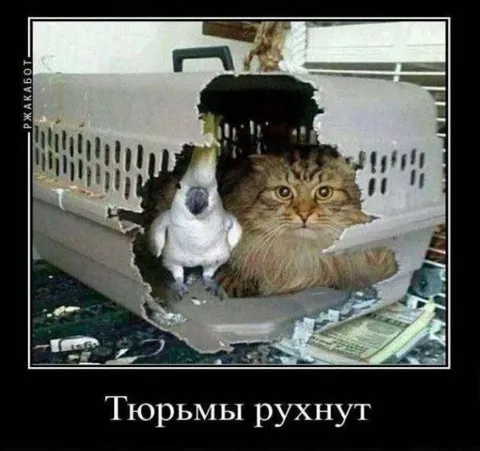 Тюрьмы рухнут