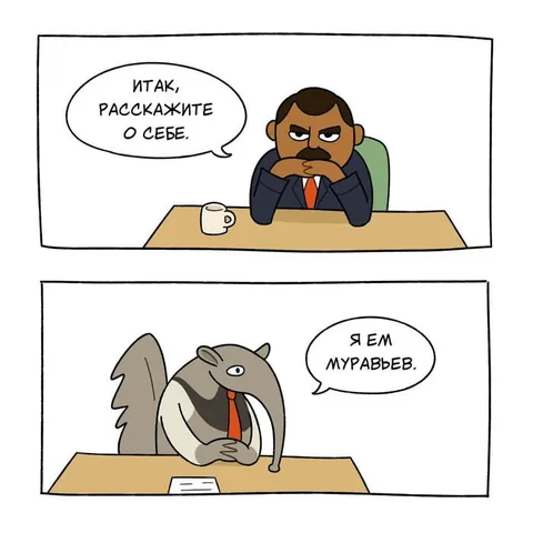 Собеседование с муравьедом