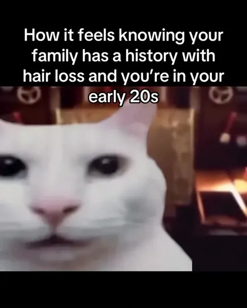 Family Hair Loss Panic Cat