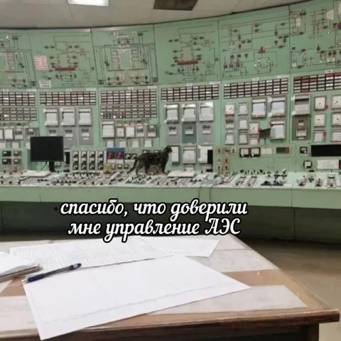 Кот управляет АЭС
