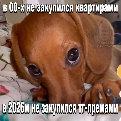 Не купился ни на что