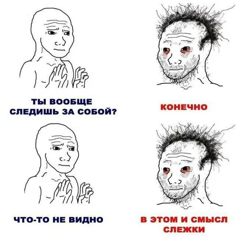 Смысл слежки за собой