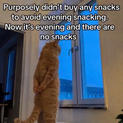 No Snacks in the Evening