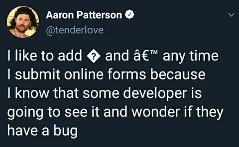 Developer Sees the Bug
