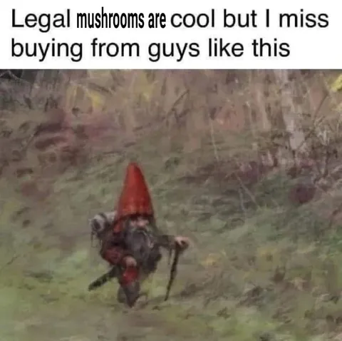 Legal Mushrooms Are Cool