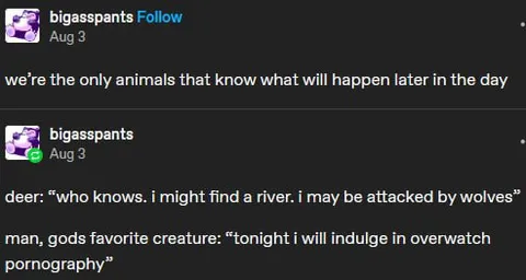 Animals Know What Happens Later