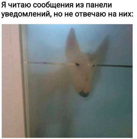 Читаю сообщения и не отвечаю