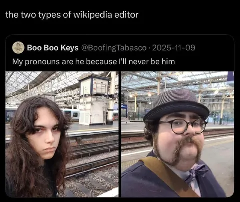 Two Types of Wikipedia Editor