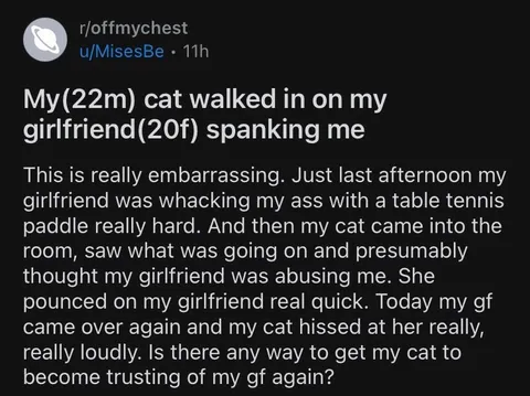 Cat Walks In on Spanking