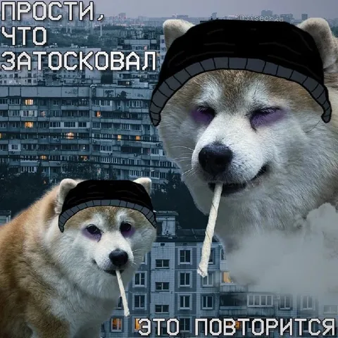 Прости, что затосковал