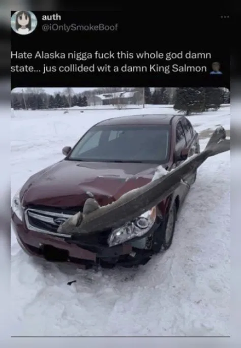 Car Collides With King Salmon