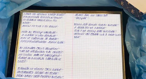 Настоящий черновик великого автора