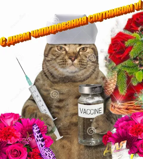 Кот с вакциной Спутник V