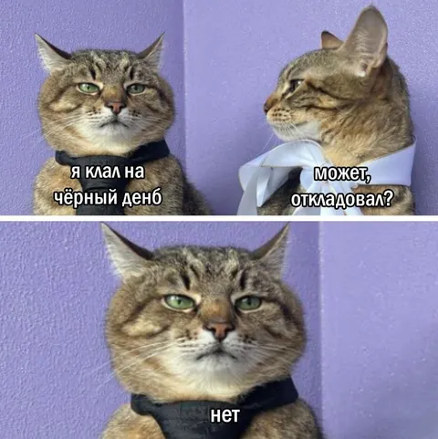 Кот и чёрный деньб