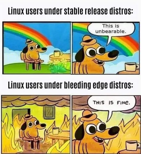 Linux Users This Is Fine