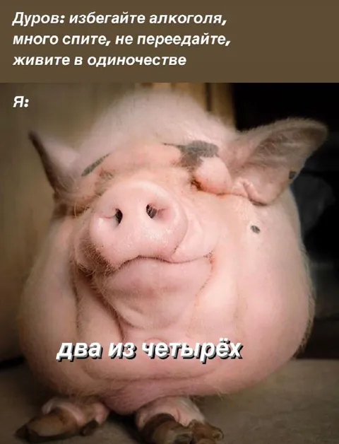 Дуров советует жить в одиночестве