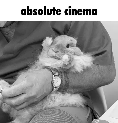 Absolute Cinema Rabbit