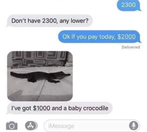 Baby Crocodile Payment