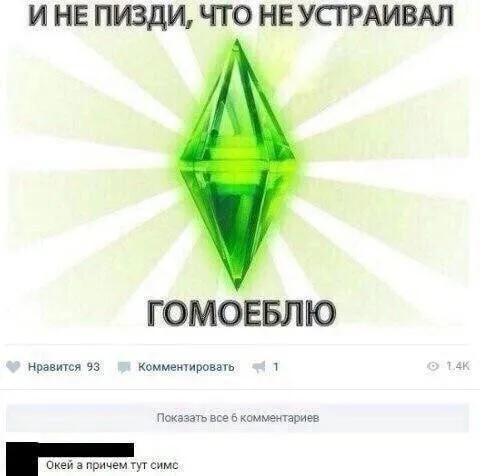 Не устраивал гомоеблю