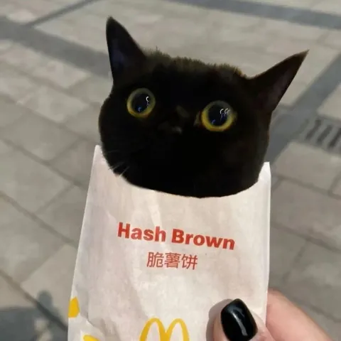 Black Cat Hash Brown