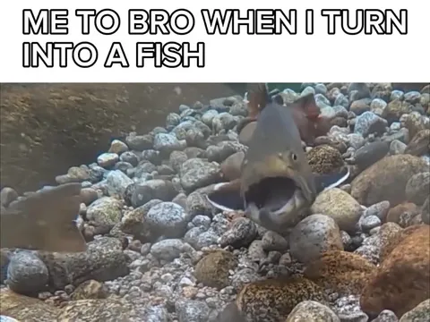 Me When I Turn Into a Fish
