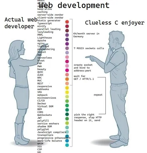 Actual Web Developer vs C Enjoyer