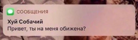 Хуй Собачий пишет бывшей