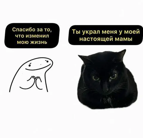 Кот украл меня у мамы