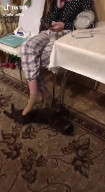 Бабушка ест, пока кот мешает