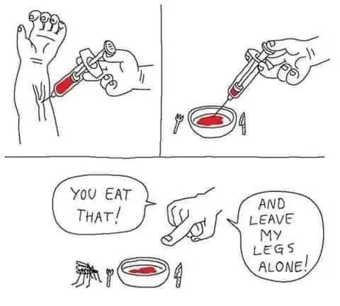 You Eat That Leave My Legs Alone