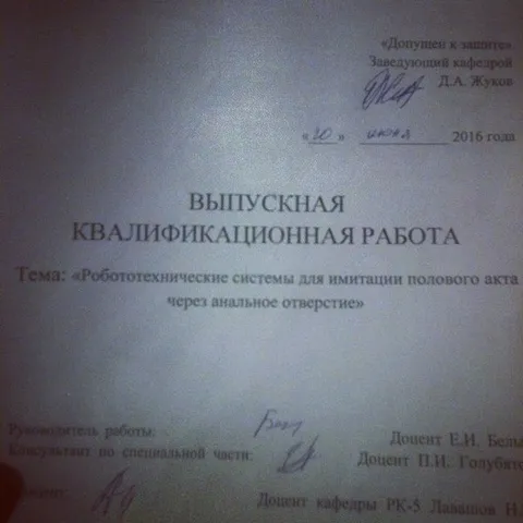 Диплом по робототехническому сексу