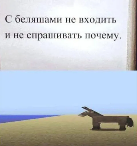 С беляшами не входить