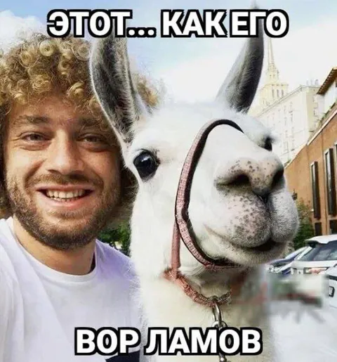 Этот как его — вор ламов