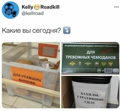 Какие вы сегодня?