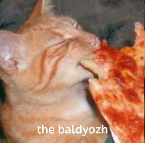 Cat Biting a Strange Orange Object