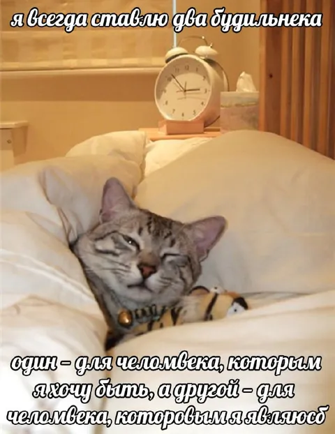 Два будильника для разных версий себя