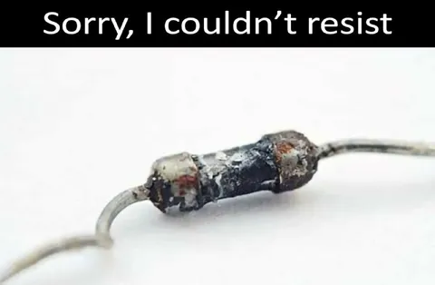 Sorry, I Couldn't Resist