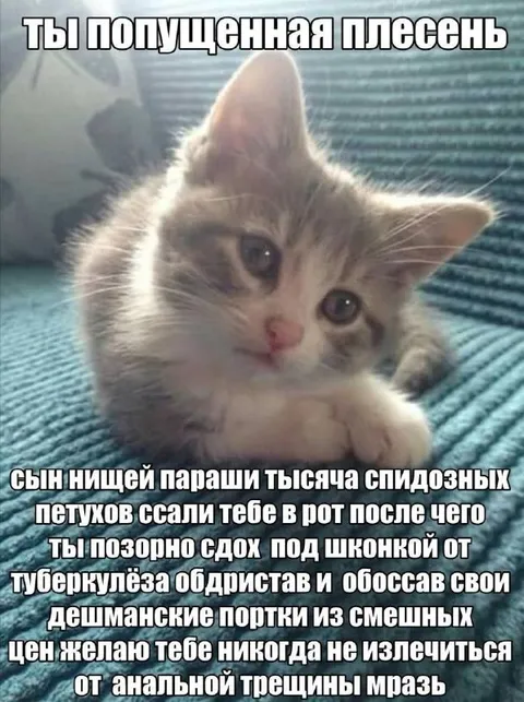 Ты попущенная плесень