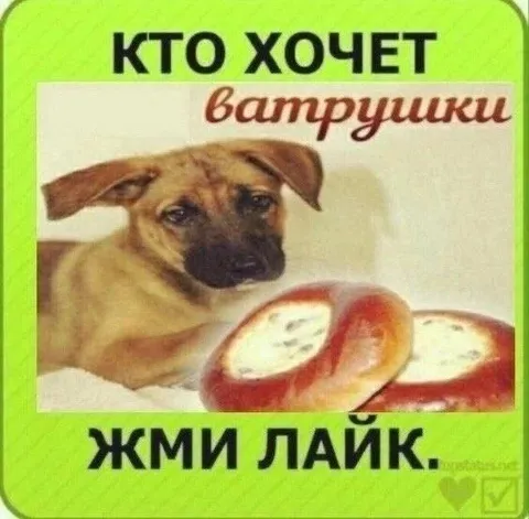 Кто хочет ватрушки — жми лайк