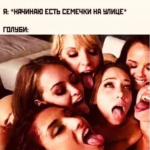 Начинаю есть семечки на улице