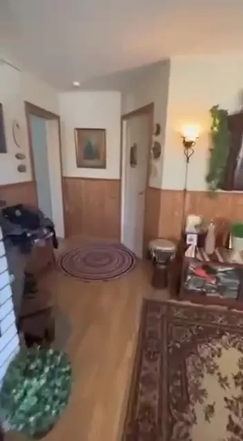 Безумная погоня по дому
