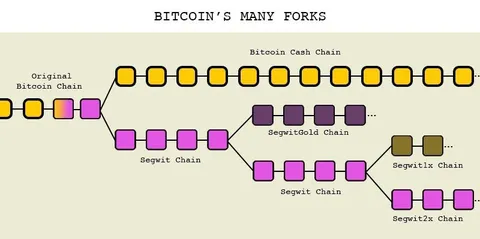 Bitcoin’s Many Forks