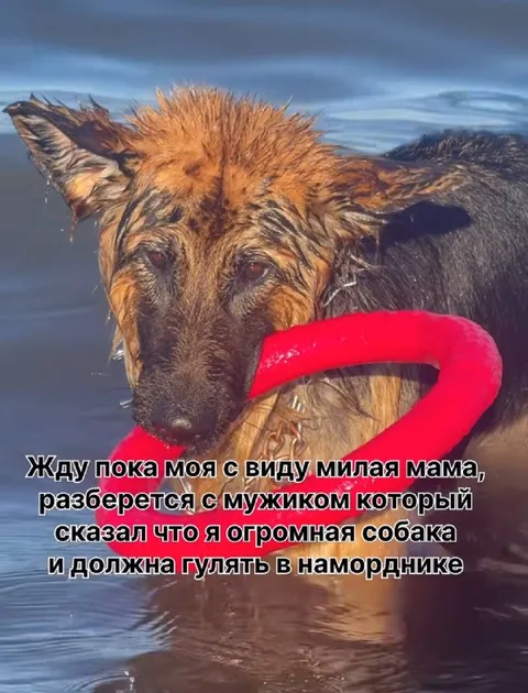 Милая мама разберётся с мужиком