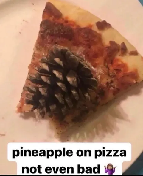 Pineapple Pizza Is Not Bad