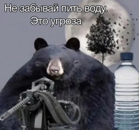 Медведь напоминает пить воду