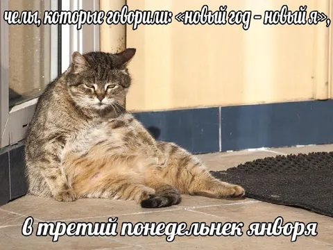 Новый год в третий понедельник января